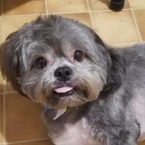 Meet your Posher, Kelli - Picture 2 of 7